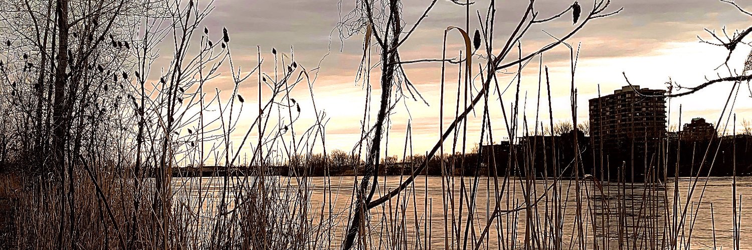 Adamlesvins's profile banner image