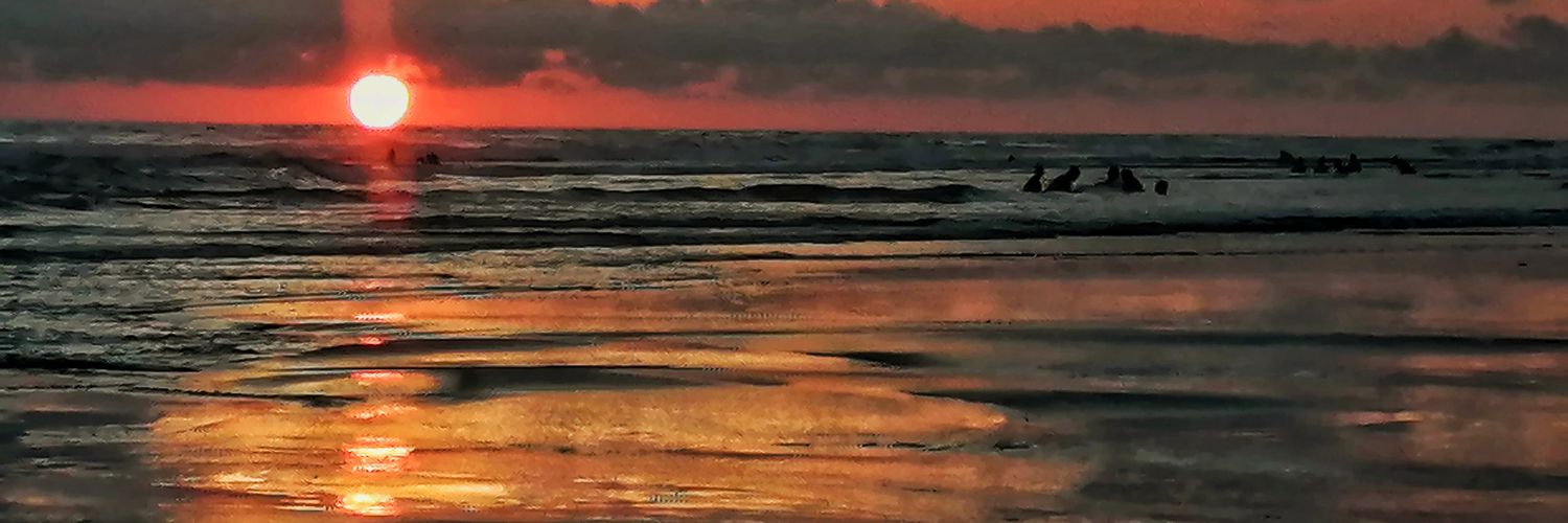tava7cr's profile banner image
