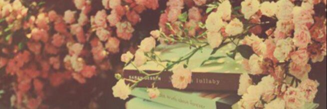 Sandinaaaa's profile banner image