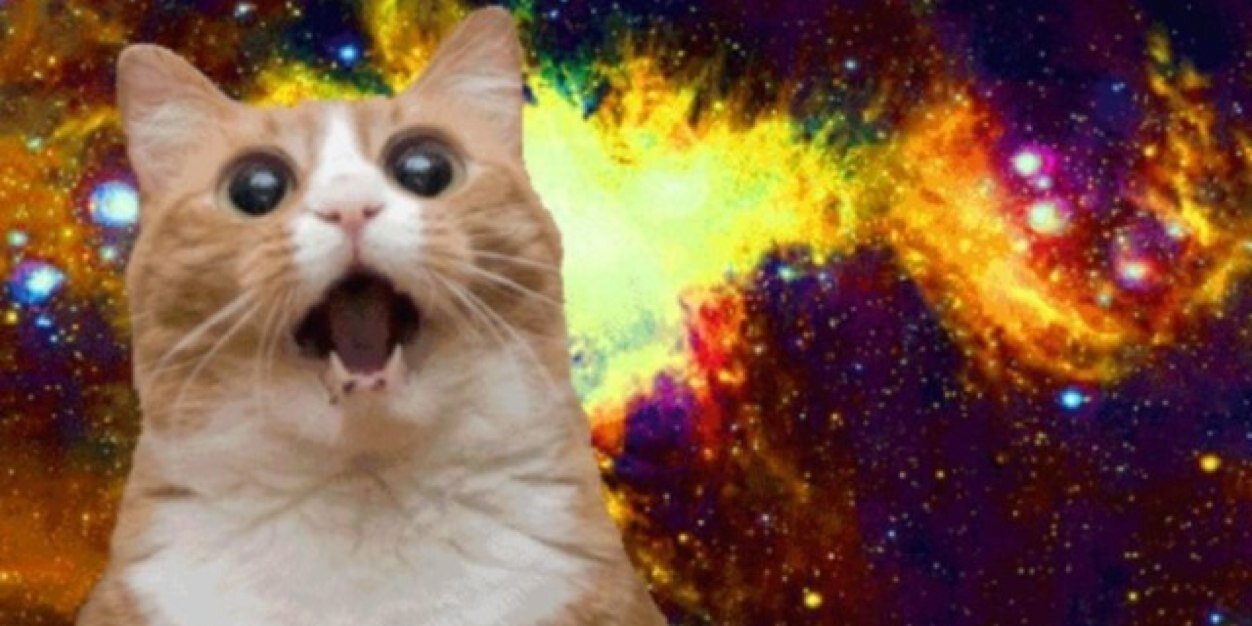 PossiblyDrunk's profile banner image