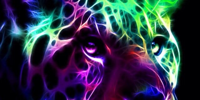 strattonx4's profile banner image