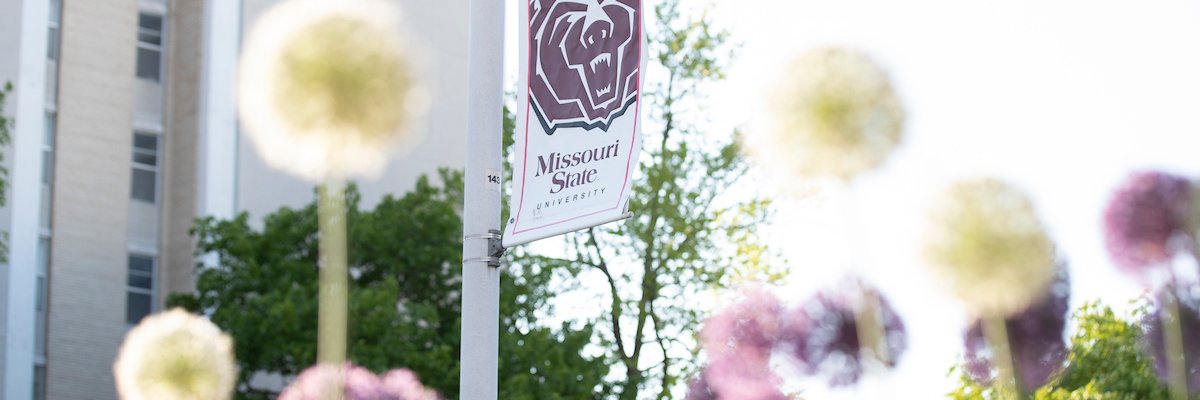 Missouri State Fdn banner