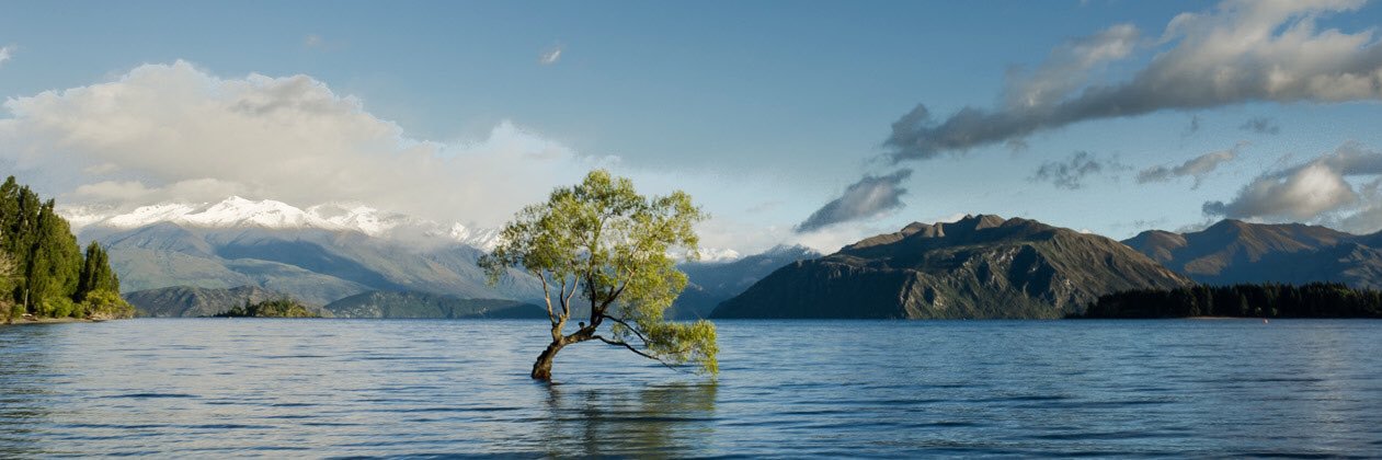 Maxy_Walters's profile banner image
