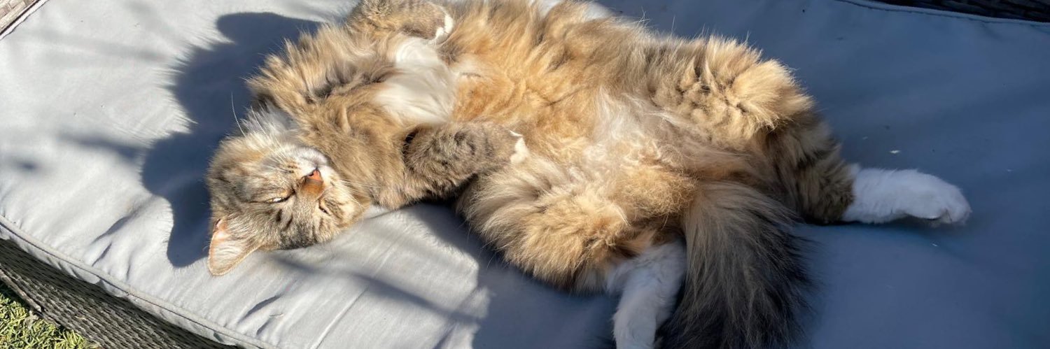 PasBêteBabeth banner