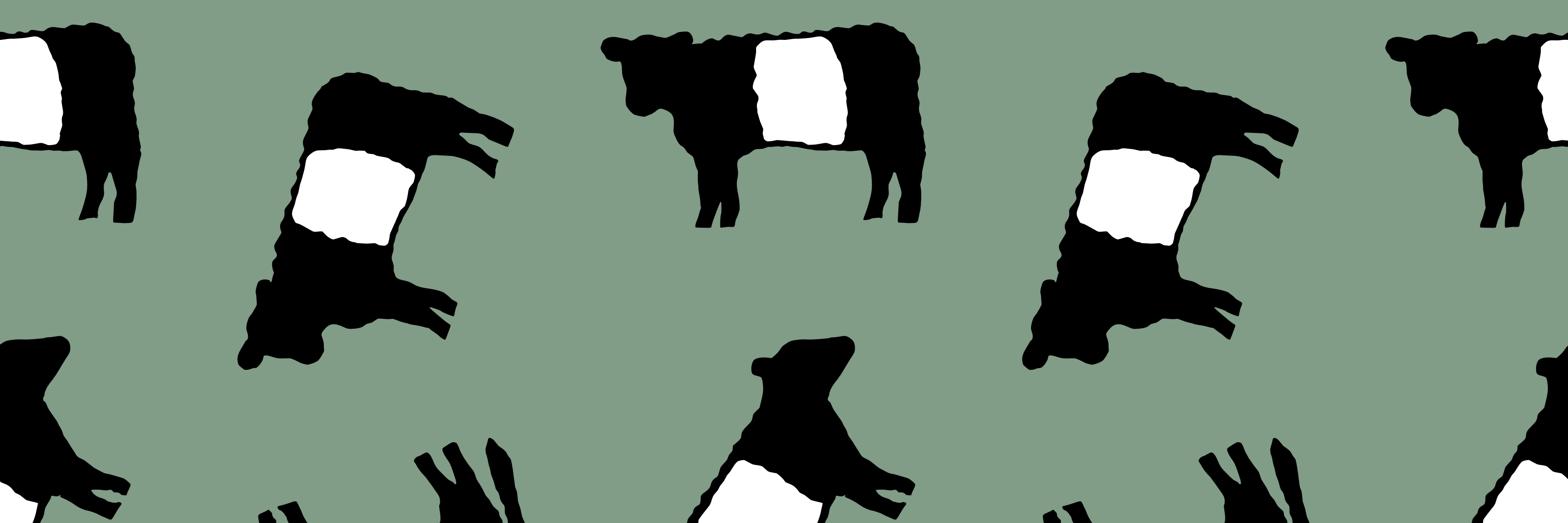 TheJuniper_Tree's profile banner image