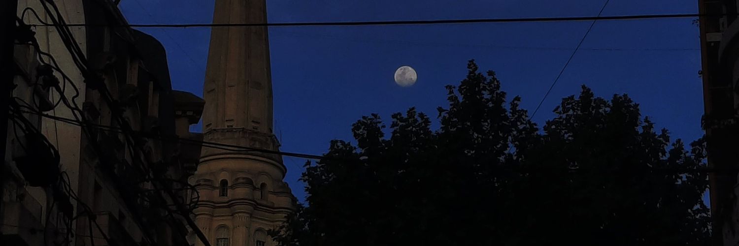 SofiFogale's profile banner image