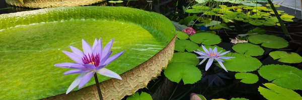 myriadgardens Profile Banner