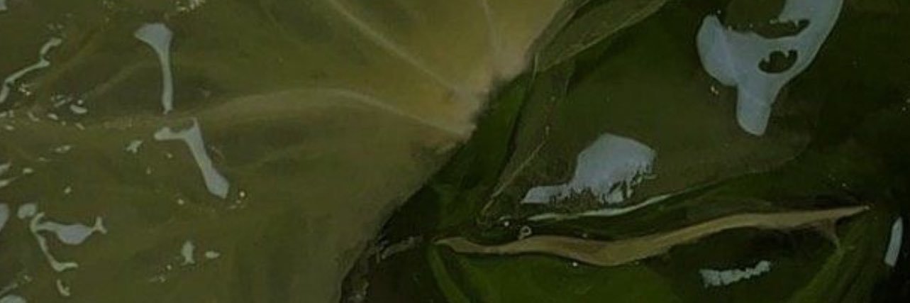 chantsss banner
