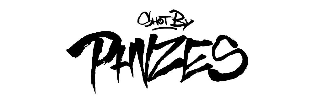 PHVZES banner