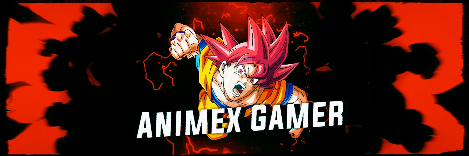 Animex Gamer banner