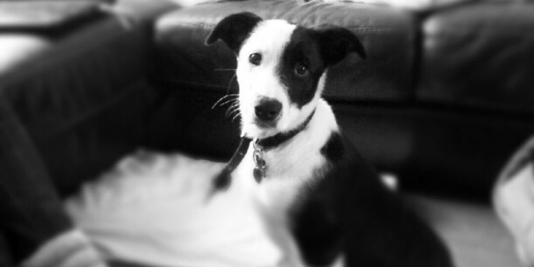 Solly_Fudge's profile banner image