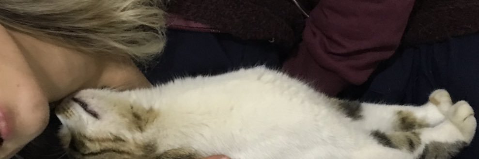aaglayankek's profile banner image