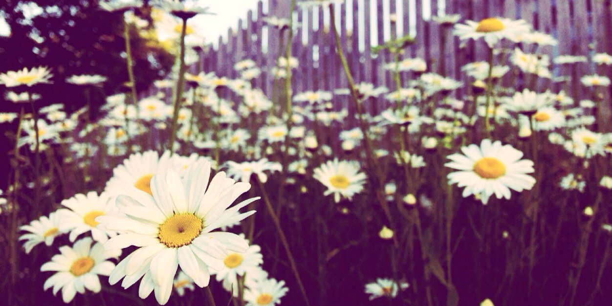 Julia_Obregon's profile banner image
