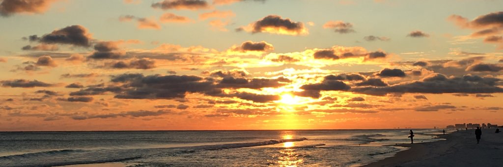 bcamey's profile banner image