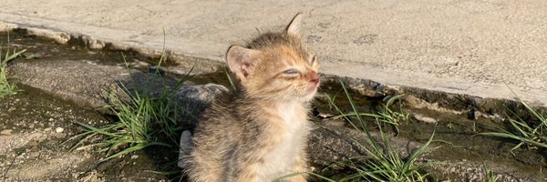 bitter_daddy Profile Banner