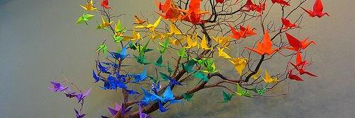 Lucy Dixon, NBCT banner