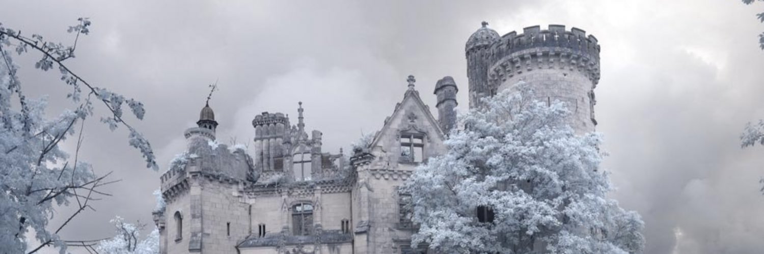 EAGLE / Cote/ 🦅Right ON 🇳🇱 🇺🇸 DT banner