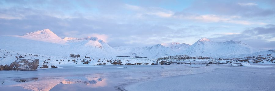 Courtney Dobson banner