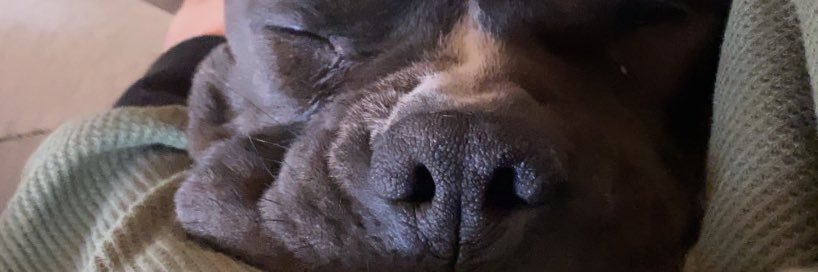 remetiinoco's profile banner image