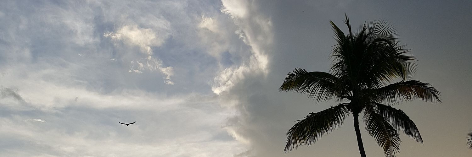 ninalbano's profile banner image