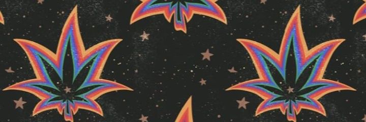 Carodirosa's profile banner image