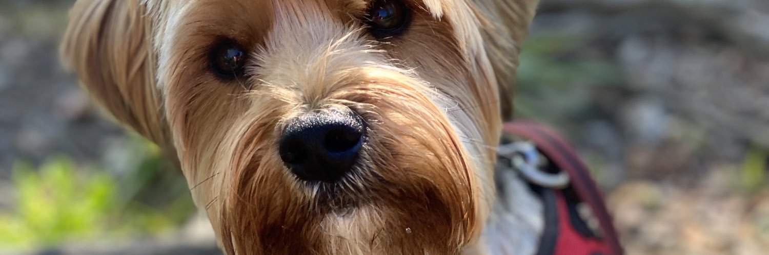ashleynduke's profile banner image