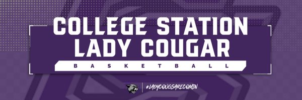 CSLadyCougBball Profile Banner