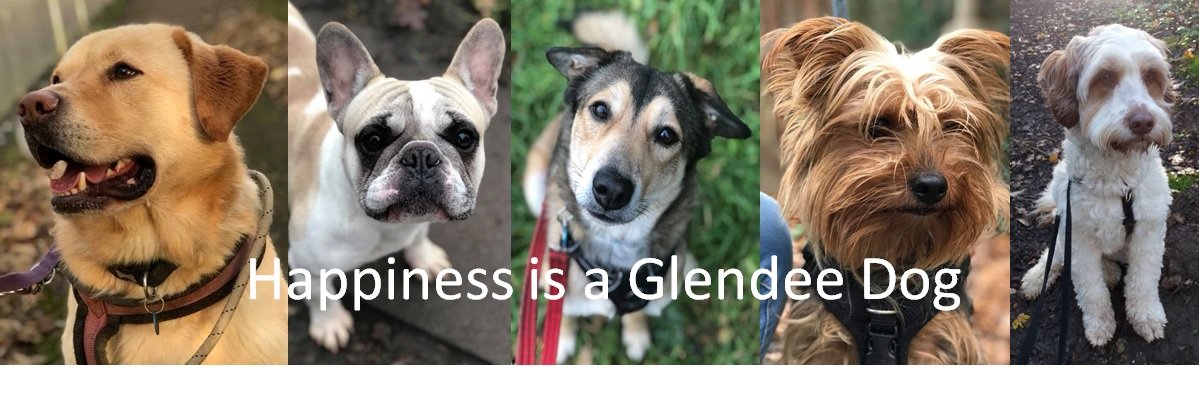 Glendee Rescue Dogs banner