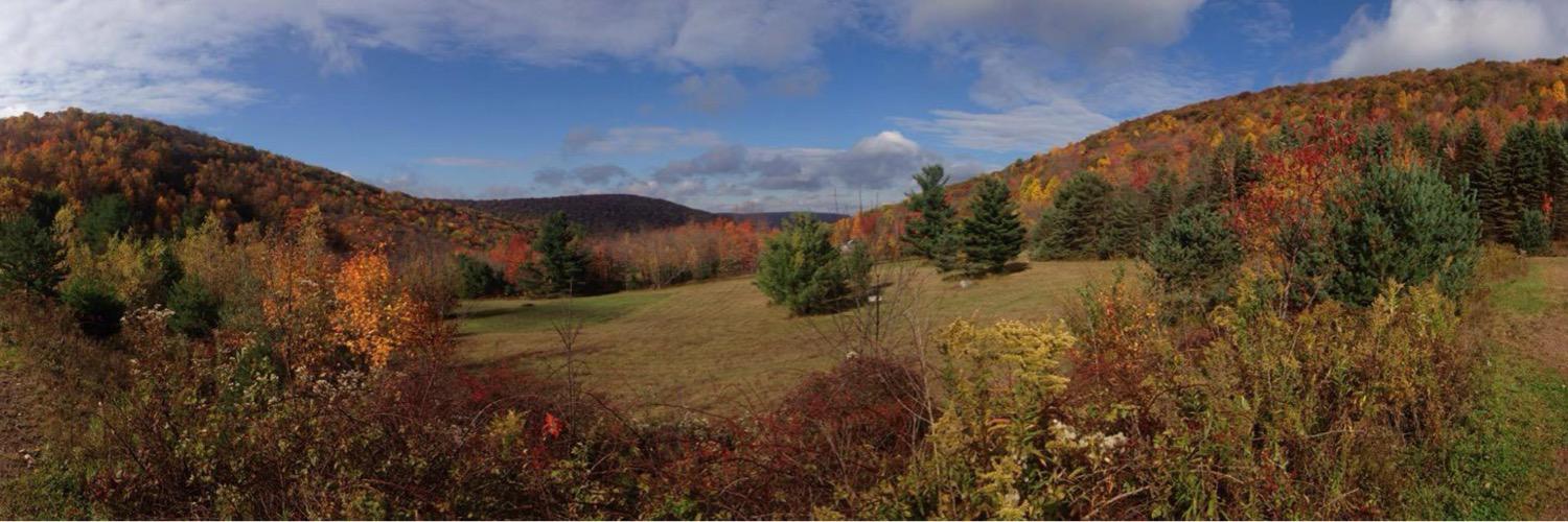 D_DeLeo14's profile banner image