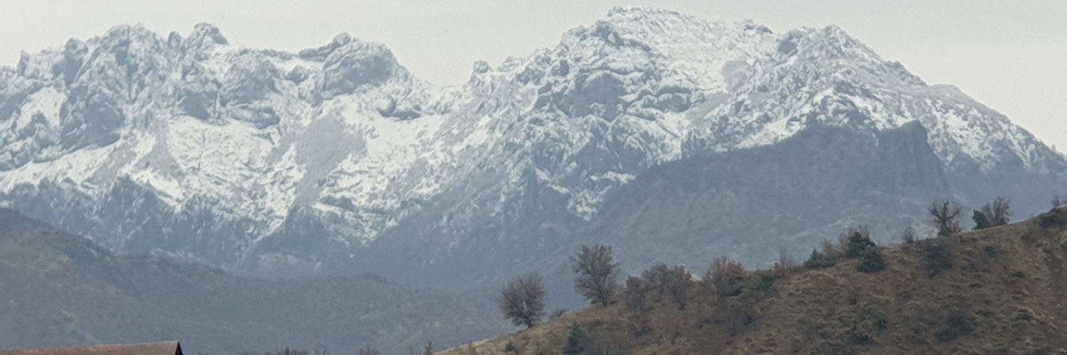 gulecemo62's profile banner image