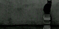 nico_ux's profile banner image