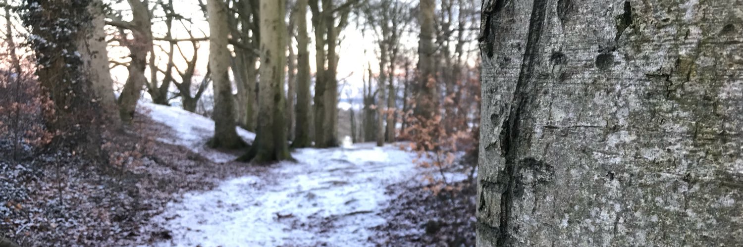 Danielle_did_it's profile banner image