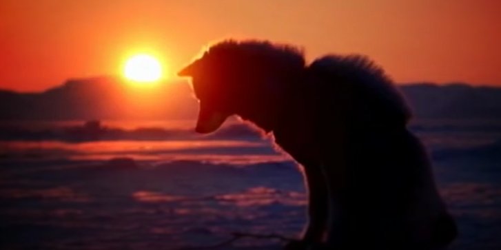 Saray_T's profile banner image