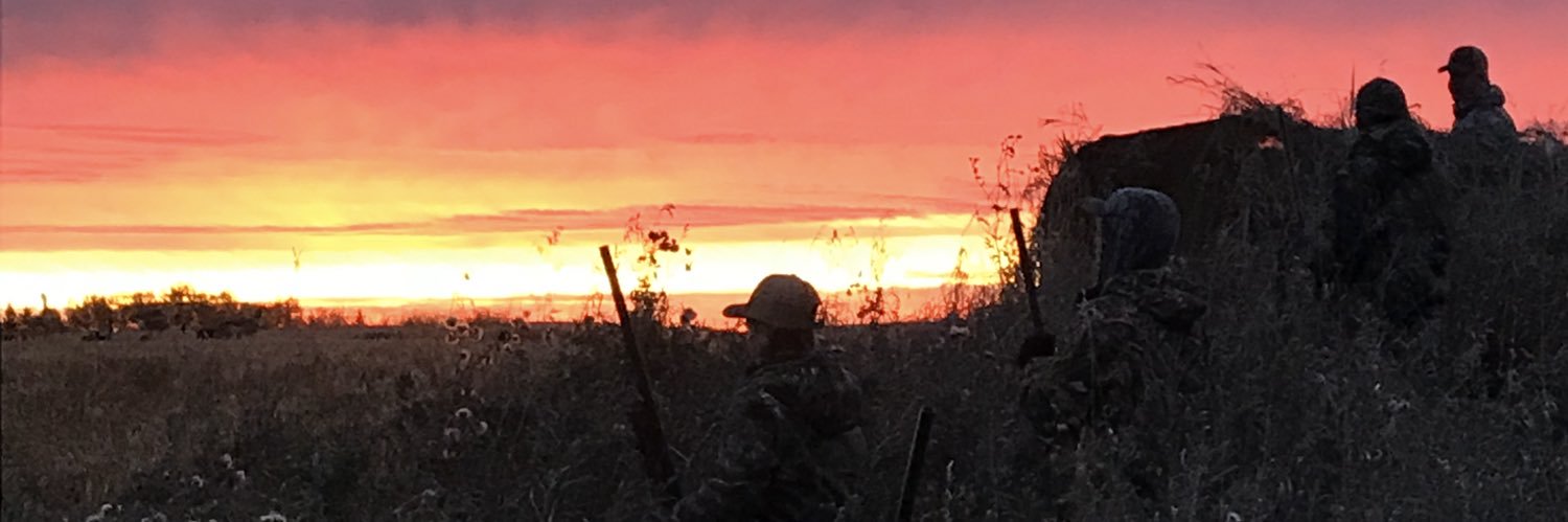 phippsy94's profile banner image