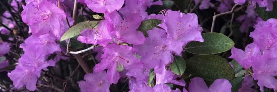 meggeller33's profile banner image
