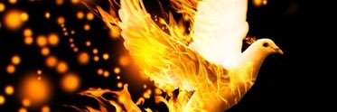 FollowTheDove's profile banner image