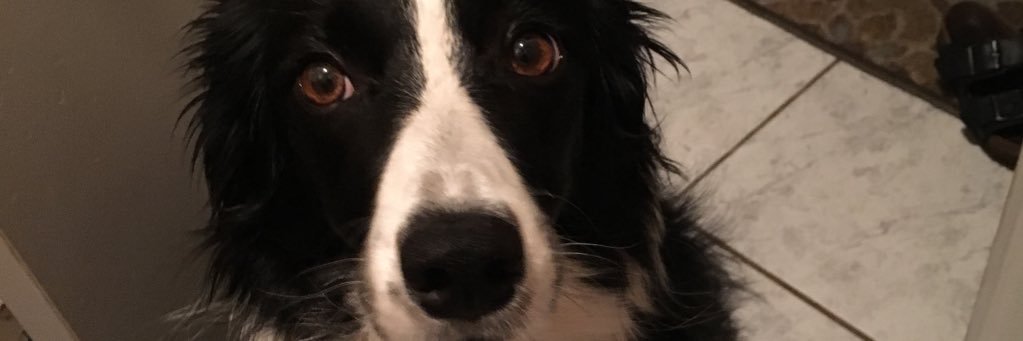 abbsmclean's profile banner image