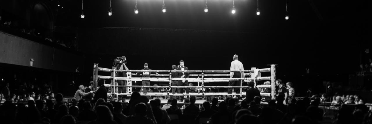 Pro Boxing Fan banner