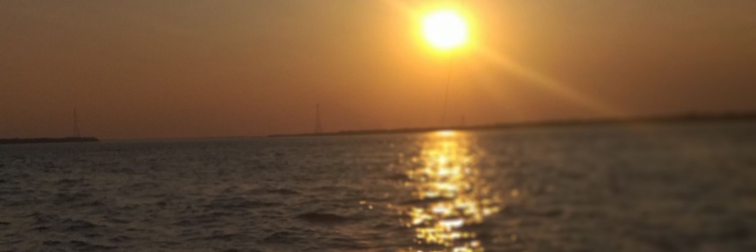 vero_jensen's profile banner image
