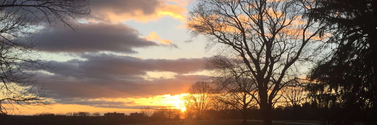 Nosoulginger99's profile banner image