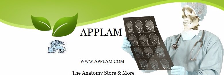 applam_models's profile banner image