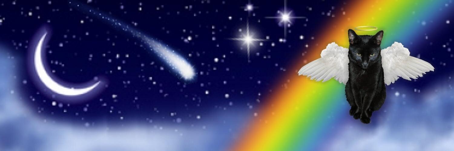 misssunnymind's profile banner image