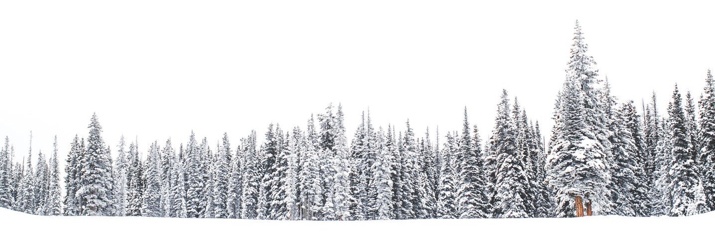 tomareeves's profile banner image