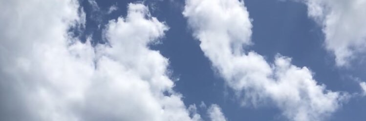 dr_liss24's profile banner image