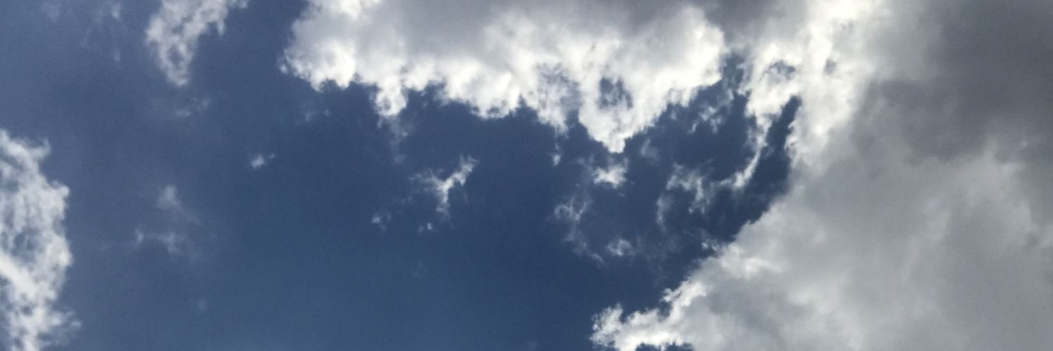 nubiskoo's profile banner image