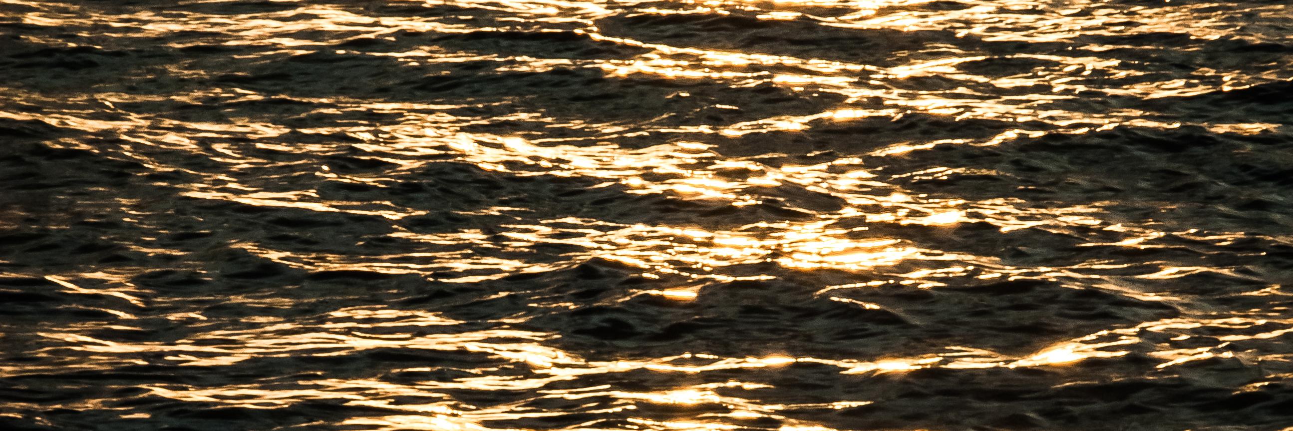 SalonProgreso's profile banner image