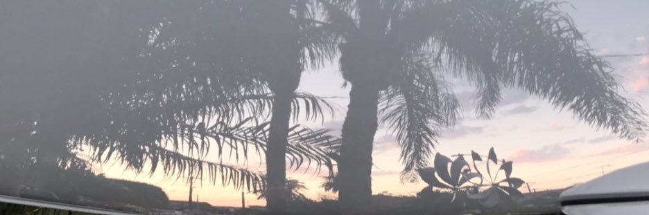 monichoni22's profile banner image