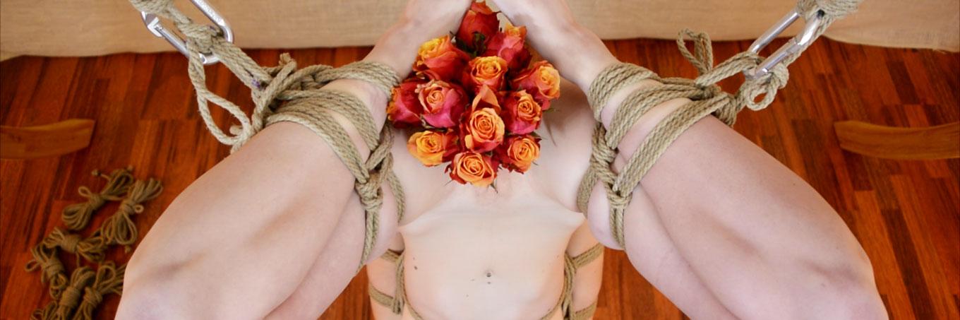 cydblack's profile banner image