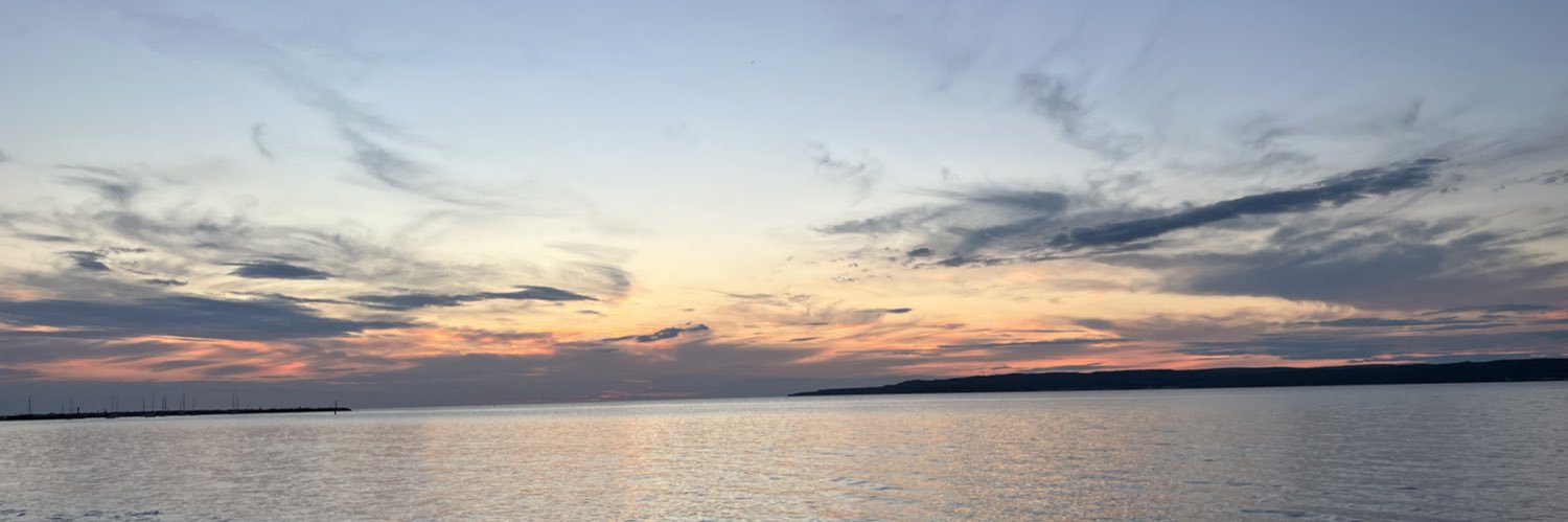 thoughtsoflrn's profile banner image