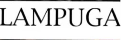 Lampuga banner
